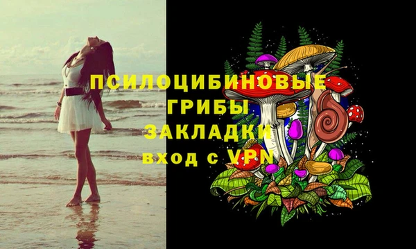 индика Верея